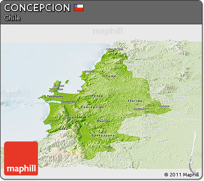 Physical Panoramic Map of CONCEPCION, lighten