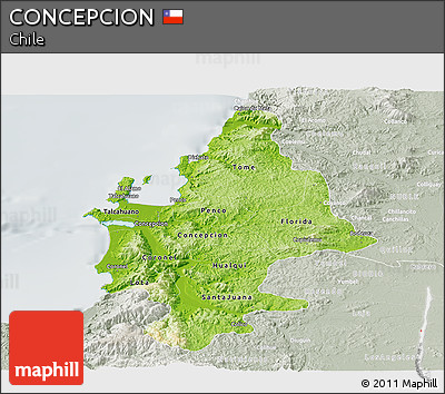 Physical Panoramic Map of CONCEPCION, lighten, semi-desaturated