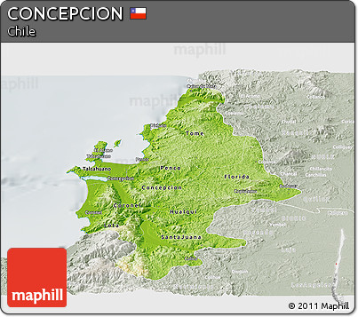 Physical Panoramic Map of CONCEPCION, lighten, semi-desaturated