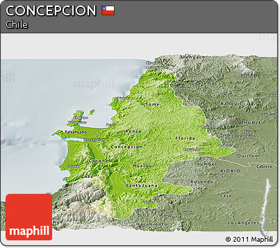 Physical Panoramic Map of CONCEPCION, semi-desaturated