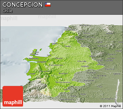 Physical Panoramic Map of CONCEPCION, semi-desaturated