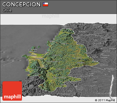 Satellite Panoramic Map of CONCEPCION, desaturated