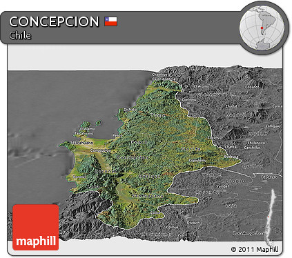 Satellite Panoramic Map of CONCEPCION, desaturated
