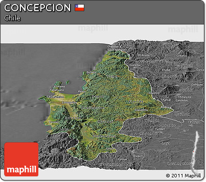 Satellite Panoramic Map of CONCEPCION, desaturated