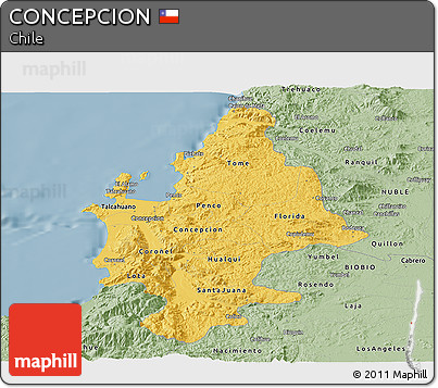 Savanna Style Panoramic Map of CONCEPCION
