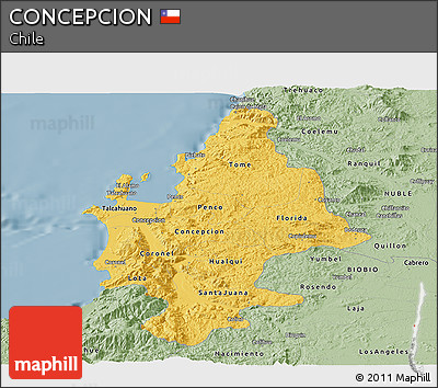 Savanna Style Panoramic Map of CONCEPCION