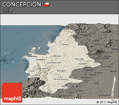 Shaded Relief Panoramic Map of CONCEPCION, darken