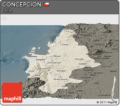 Shaded Relief Panoramic Map of CONCEPCION, darken