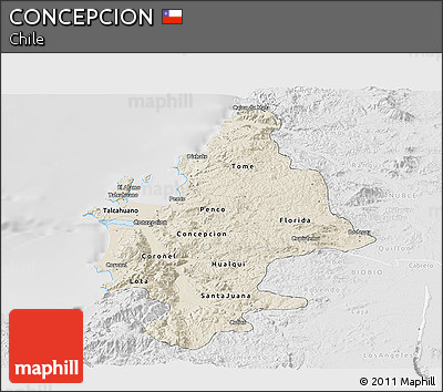 Shaded Relief Panoramic Map of CONCEPCION, lighten, desaturated