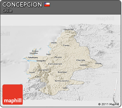 Shaded Relief Panoramic Map of CONCEPCION, lighten, desaturated