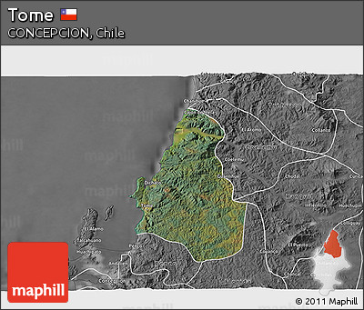 Satellite 3D Map of Tome, desaturated