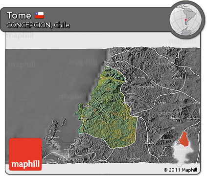Satellite 3D Map of Tome, desaturated