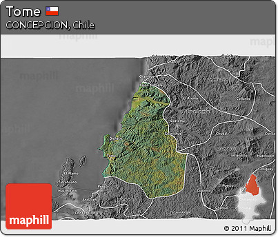 Satellite 3D Map of Tome, desaturated