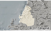 Shaded Relief 3D Map of Tome, darken, semi-desaturated