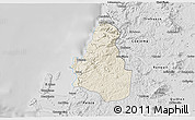 Shaded Relief 3D Map of Tome, desaturated