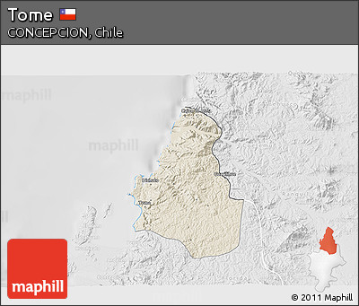 Shaded Relief 3D Map of Tome, lighten, desaturated