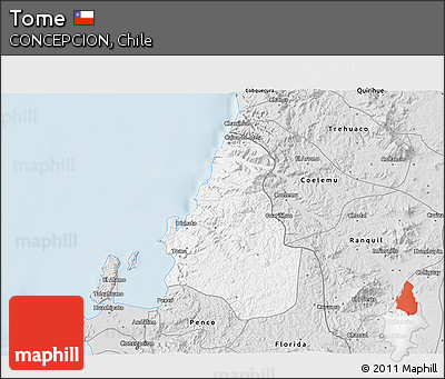 Silver Style 3D Map of Tome