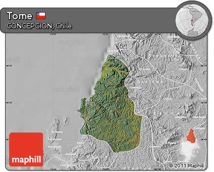 Satellite Map of Tome, lighten, desaturated