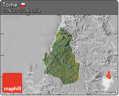 Satellite Map of Tome, lighten, desaturated