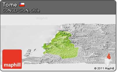 Physical Panoramic Map of Tome, lighten, desaturated