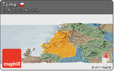 Political Panoramic Map of Tome, semi-desaturated