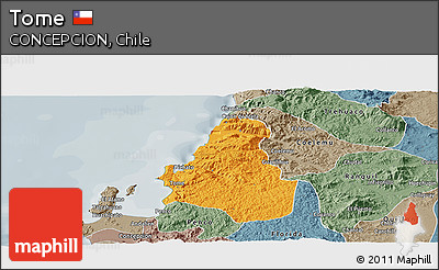Political Panoramic Map of Tome, semi-desaturated