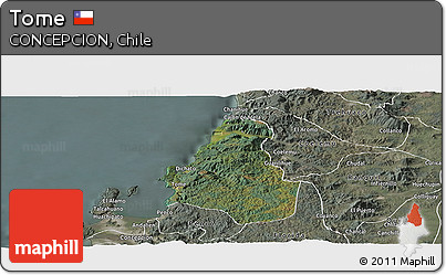 Satellite Panoramic Map of Tome, semi-desaturated