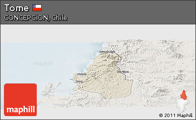 Shaded Relief Panoramic Map of Tome, lighten