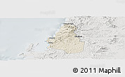 Shaded Relief Panoramic Map of Tome, lighten, semi-desaturated