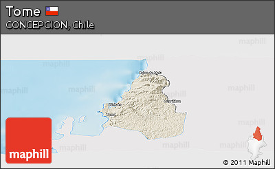 Shaded Relief Panoramic Map of Tome, single color outside