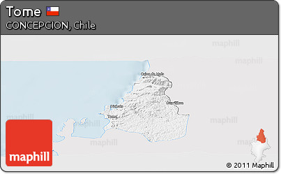 Silver Style Panoramic Map of Tome, single color outside