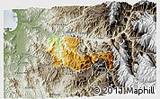 Physical 3D Map of Andacollo, semi-desaturated