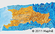 Political Shades Panoramic Map of ELQUI