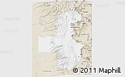 Classic Style 3D Map of Pica
