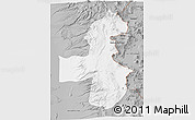 Gray 3D Map of Pica