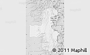 Silver Style Map of Pica