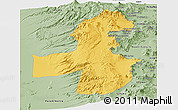 Savanna Style Panoramic Map of Pica