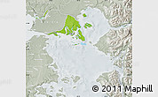 Physical Map of Calbuco (Is.), lighten, semi-desaturated