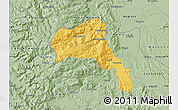 Savanna Style Map of Angol