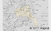 Shaded Relief Map of Angol, desaturated