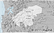 Gray 3D Map of Lumaco