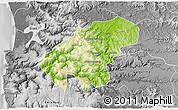 Physical 3D Map of Lumaco, desaturated