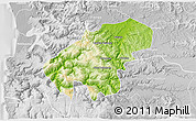 Physical 3D Map of Lumaco, lighten, desaturated