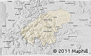Shaded Relief 3D Map of Lumaco, desaturated