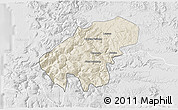 Shaded Relief 3D Map of Lumaco, lighten, desaturated