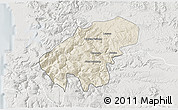 Shaded Relief 3D Map of Lumaco, lighten, semi-desaturated