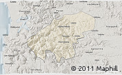 Shaded Relief 3D Map of Lumaco, semi-desaturated