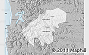 Gray Map of Lumaco