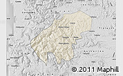 Shaded Relief Map of Lumaco, desaturated