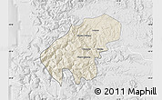 Shaded Relief Map of Lumaco, lighten, desaturated